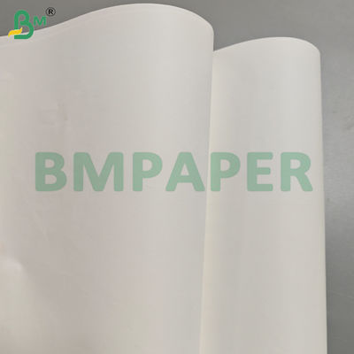 30-80gsm 700*1000mm Food Grade Grease Resistant Paper Sheets
