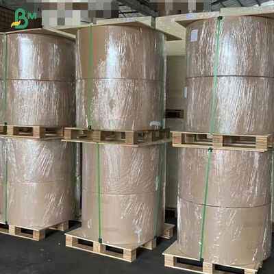 Waterdicht zonwerend 54g 56g Boompapier Voor Fruit