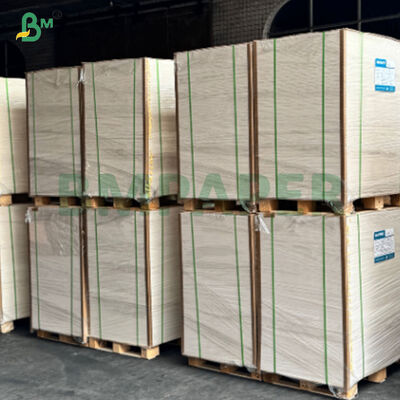 Food Safety High Extensibility One Side PE Coated Cup Stock Paper 
