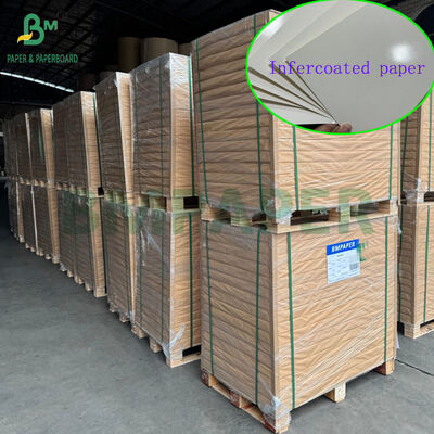 300gsm 350gsm Food Grade Wit Infercoated Papier Voor Lunchbox 70 x 100cm