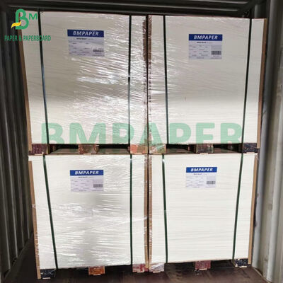 Hoge GSM Printbaar Pulpboard 0,6 mm 0,8 mm Dik Natuurlijk Wit Absorberend Blotterpapier voor Bierviltjes