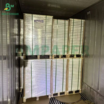 900 X 640MM 250Gr 300Gr Eenzidelijk bekleed SBS-papier voor voedselverpakkingen