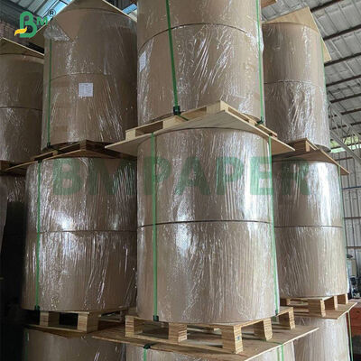 56 g waterdicht was bedekt papier voor mango fruit dekking groeiende zak