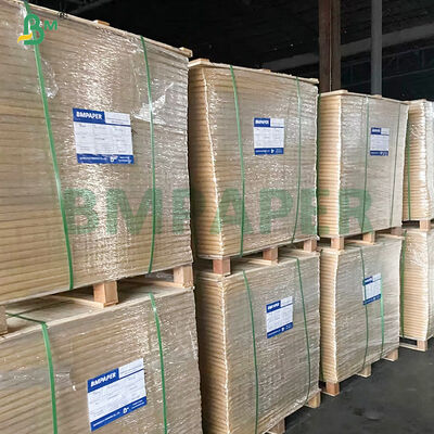 250g+ 10g 2S PE Bruin Lunchpapierbord voor Maaltijdvoorbereidingscontainers