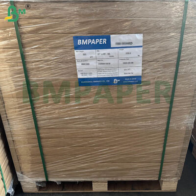 Voedselgecertificeerd koffiefilterpapier met groot formaat en dubbele grammage-opties voor thuis en commercieel brouwen