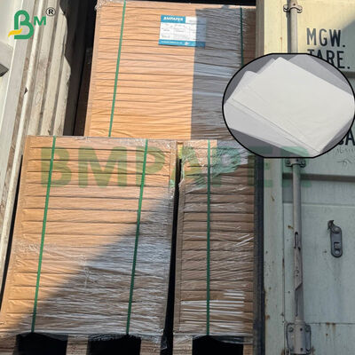 Voedselgecertificeerd koffiefilterpapier met groot formaat en dubbele grammage-opties voor thuis en commercieel brouwen