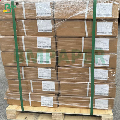 A0 Brede CAD Plotterpapierrollen 80 g/m² | 914 mm × 50 m, 5 Rollen Per Doos