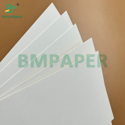 Voedselgeschikt Gecoat 365gsm Kraft Back Board (CKB) voor Diepvriesdozen & Bakkerijverpakkingen