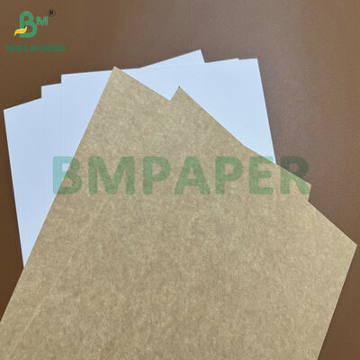Voedselgeschikt Gecoat 365gsm Kraft Back Board (CKB) voor Diepvriesdozen & Bakkerijverpakkingen