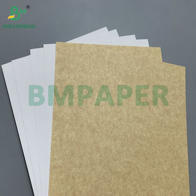 Voedselgeschikt Gecoat 365gsm Kraft Back Board (CKB) voor Diepvriesdozen & Bakkerijverpakkingen