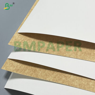 100% Vierge Houtpulp 280gsm 300gsm Wit Gecoat Kraftpapier Karton Voor Voedselverpakkingen