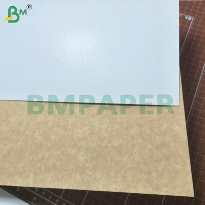 GC4 Gecoat Kraft Back Paperboard Food Grade For Cake Board 250g 300g