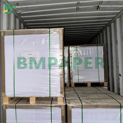 WTKB Food Board Eenzijdig wit gecoat kraftkarton voor directe voedselverpakking