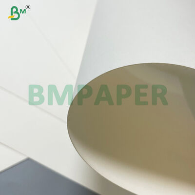 Virgin Wood Pulp Single PE Laminated Disposable Waterproof Cardboard Bowls Paper