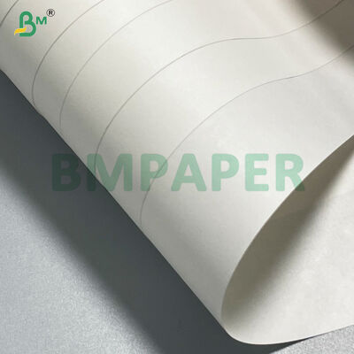 Biologisch afbreekbaar wit kraftpapier rol en vel voor voedselverpakkingen broodpapierzakjes