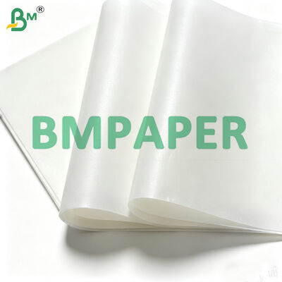 Baking Paper Siliconed Coating 42gr, Oven Paper 500mm X 600mm