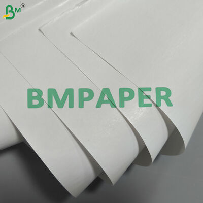 Thermal Self Adhesive Label Face Paper Raw Material Jumbo Rolls for Thermal Labels