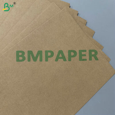 100% voedselveilig vetvrij composteerbaar grondstof 200 g/m² 300 g/m² suikerriet bagasse basispapier voor wegwerpservies