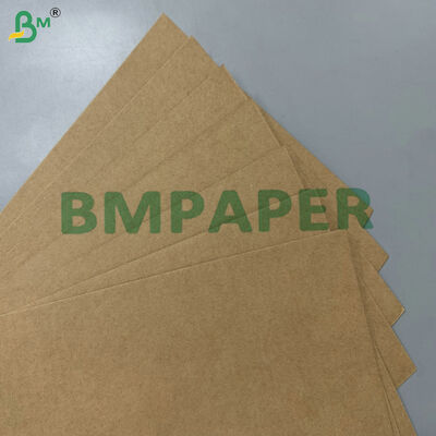 100% voedselveilig vetvrij composteerbaar grondstof 200 g/m² 300 g/m² suikerriet bagasse basispapier voor wegwerpservies