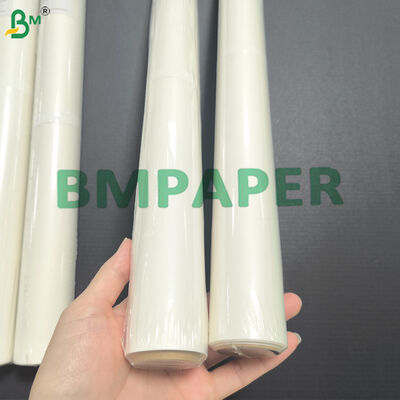 White Silicone Baking Paper Rolls 38gsm Greaseproof Parchment Paper For Oven Baking Cooking