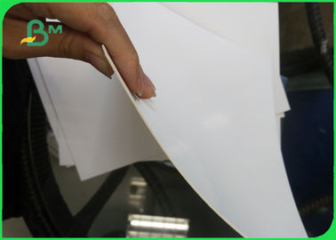 255 gsm High Bulk Coated 1 Side Solid White Board GC1 Ivory Board