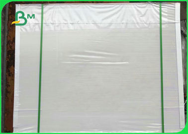 300 gm Wit PE-gecoat ivoorbord voor het maken van voedseldozen 50 * 70 cm