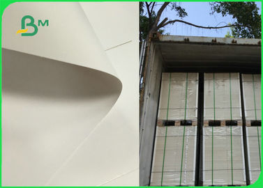 100% maagdelijk hout C1S Ivory Board Fold 300gm Op maat