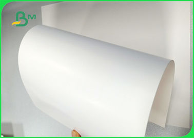 Breedte 700 × 1000 mm Goed gladheid 270 gms 300 gms 350 gms Ivory Board Voor pakketten