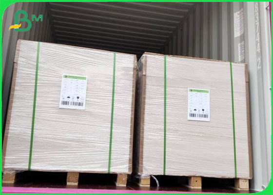FBB Ivory Board 305g / 345g Offsetprinting
