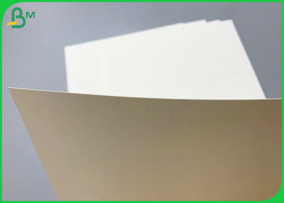 SGS Gediplomeerd 230g 260g PE Met een laag bedekt Cupstock Basisdocument 850mm Broodje