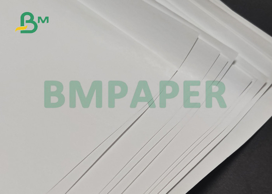 55gsm thermisch Drukdocument Broodje voor POS ATM Ontvangstbewijs 600mm Vrije 650mm BPA