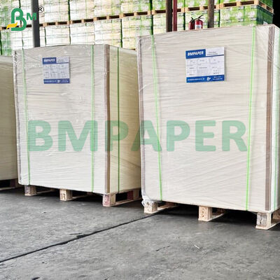 300 gm High Stiffness Food Grade Noodle Base Bowl Papierplaten