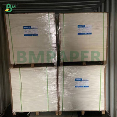 300 ‰ 330 gsm Eenzijdig 18 gsm PE-bekledingspapier voor papieren containers