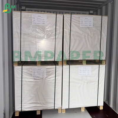 300gsm Twee Zijdige Gecoat Kunstdrukpapier in Jumbo Rollen 38 Inch Breedte